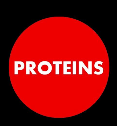 Protein Powders